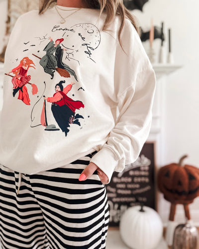 COME, WE FLY • women's pullover (Hallo-cream) just restocked