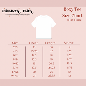 GINGHAM USA • women's tee (flash)