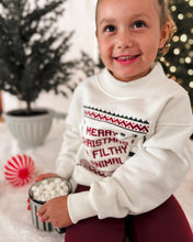 Load image into Gallery viewer, MERRY CHRISTMAS YA FILTHY ANIMAL • embroidered pullover (adults +kids)