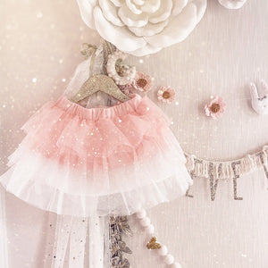 OMBRE LAYERED TUTU / SPECIAL PRICED (flash)