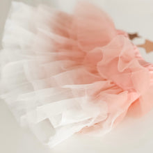 Load image into Gallery viewer, OMBRE LAYERED TUTU / SPECIAL PRICED (flash)